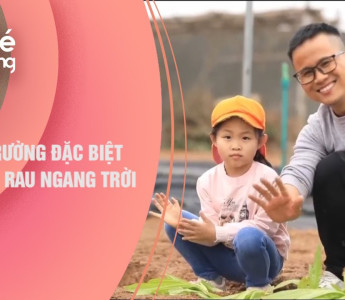 Phóng sự "Ngôi trường đặc biệt có vườn rau ngang trời" lên sóng VTV3 