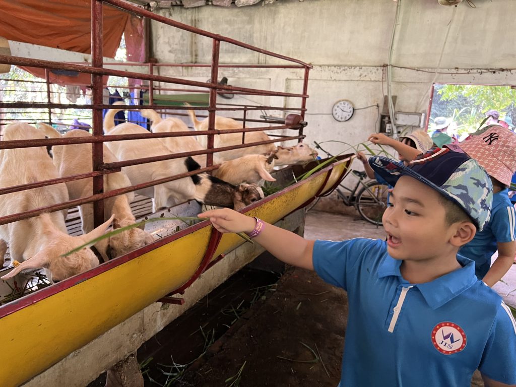 Học sinh JIS trải nghiệm thực tế - Chơi mà học